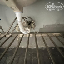 фото из отзыва ID 2734374