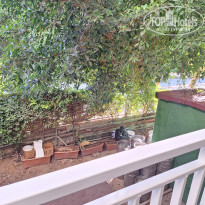 фото из отзыва ID 2734115