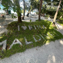 фото из отзыва ID 2734329