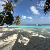 фото из отзыва ID 2734329