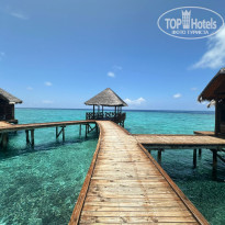 фото из отзыва ID 2734329