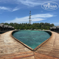 фото из отзыва ID 2734329