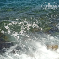 фото из отзыва ID 2734388