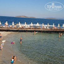 фото из отзыва ID 2734388