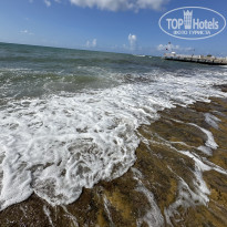 фото из отзыва ID 2734414