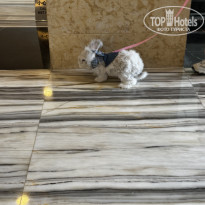 фото из отзыва ID 2734415