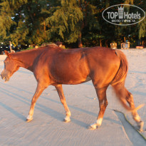 фото из отзыва ID 2734420