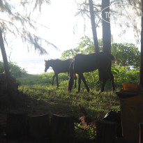 фото из отзыва ID 2734420