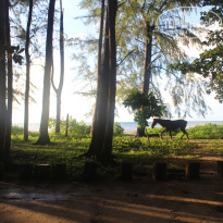 фото из отзыва ID 2734420