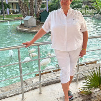 фото из отзыва ID 2734153