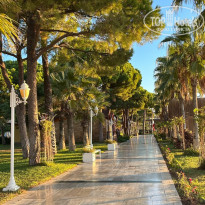 фото из отзыва ID 2734153