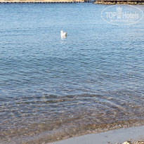 фото из отзыва ID 2732229