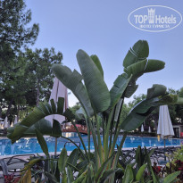 фото из отзыва ID 2734109