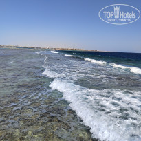 фото из отзыва ID 2734439