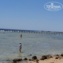 фото из отзыва ID 2734402