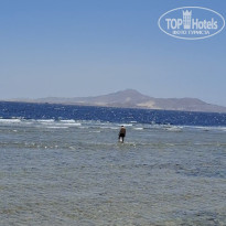 фото из отзыва ID 2734402