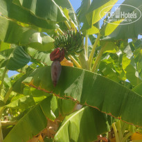 фото из отзыва ID 2734446