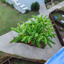 фото из отзыва ID 2734446