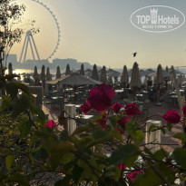 фото из отзыва ID 2734455