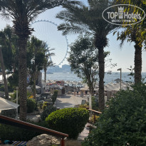 фото из отзыва ID 2734455