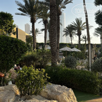 фото из отзыва ID 2734455