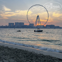 фото из отзыва ID 2734455