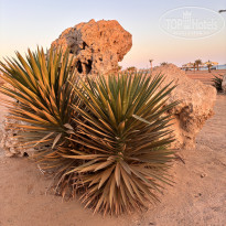 фото из отзыва ID 2734427