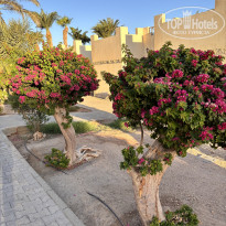 фото из отзыва ID 2734427