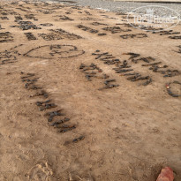 фото из отзыва ID 2734427