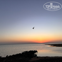 фото из отзыва ID 2734427