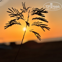 фото из отзыва ID 2734427