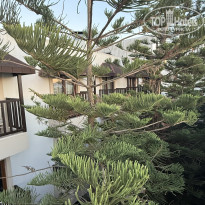 фото из отзыва ID 2734485