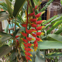 фото из отзыва ID 2734495