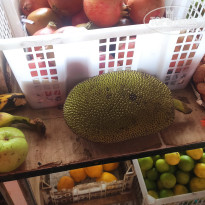 фото из отзыва ID 2734495