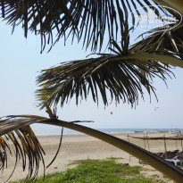 фото из отзыва ID 2734495