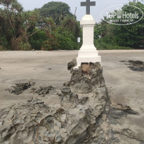 фото из отзыва ID 2734495