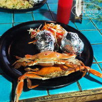 фото из отзыва ID 2734495