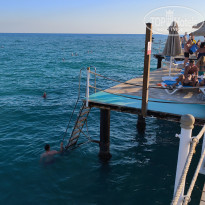 фото из отзыва ID 2734275