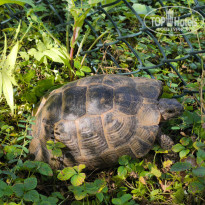 фото из отзыва ID 2734275