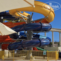 фото из отзыва ID 2734486