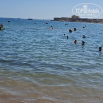 фото из отзыва ID 2734486