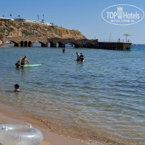 фото из отзыва ID 2734486