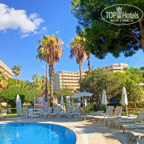 фото из отзыва ID 2734537