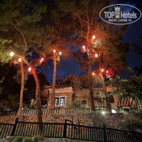 фото из отзыва ID 2734313