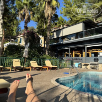 фото из отзыва ID 2734313