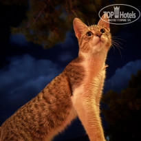 фото из отзыва ID 2734313