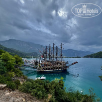 фото из отзыва ID 2734313