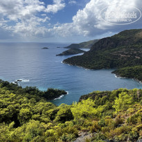 фото из отзыва ID 2734313