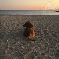 фото из отзыва ID 2734566