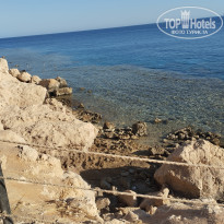 фото из отзыва ID 2734587